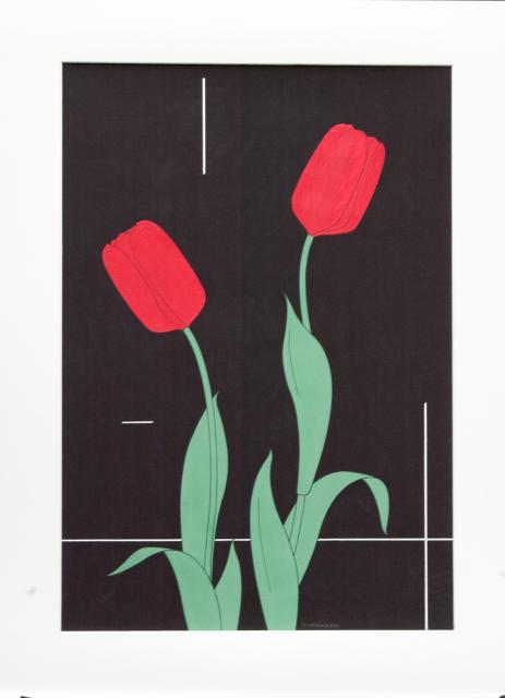 Twee rode tulpen met zwarte achtergrond.