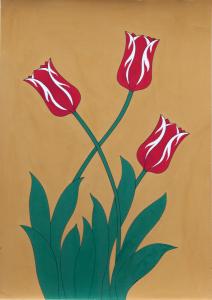 3 rood/witte tulpen VERKOCHT