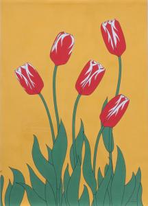 5 rood/witte tulpen.